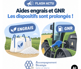 Sans titre Sticker carre
